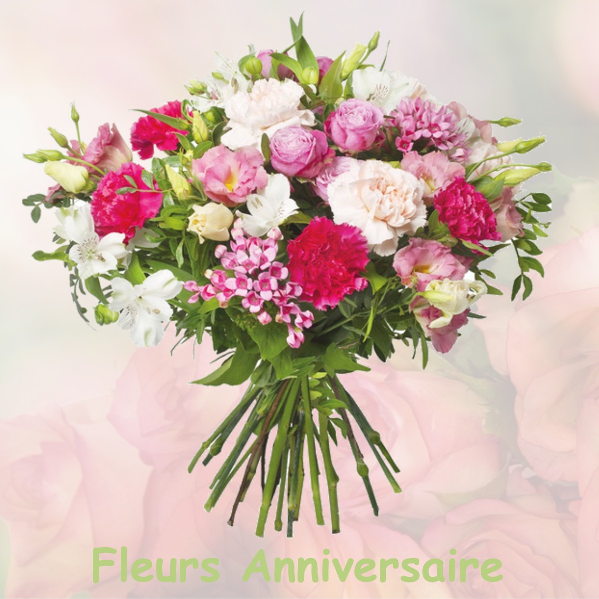 fleurs anniversaire BAUDINARD-SUR-VERDON